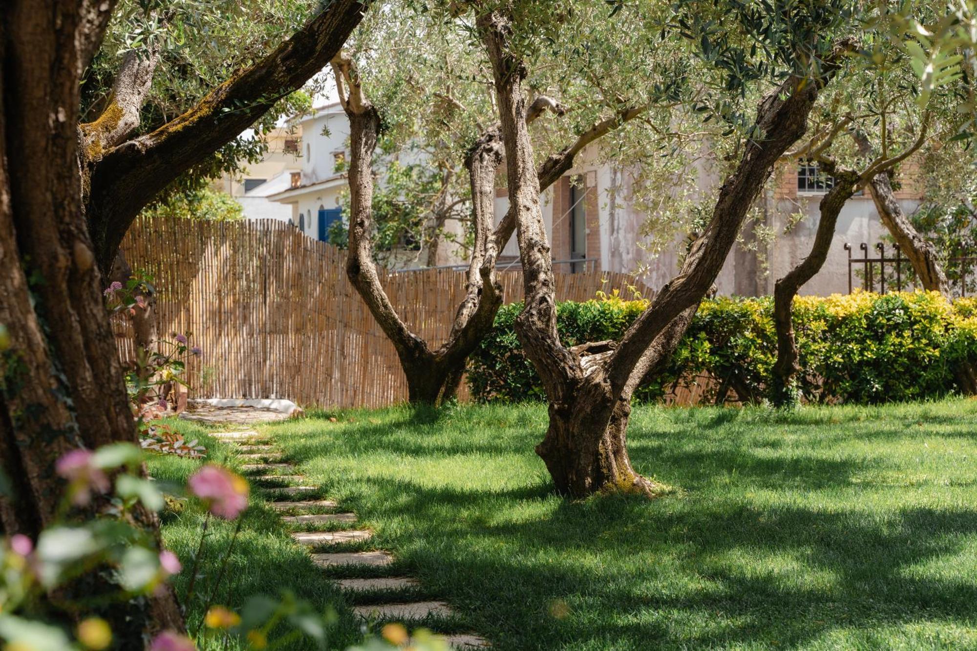 Mami Sabaudia Hotel מראה חיצוני תמונה